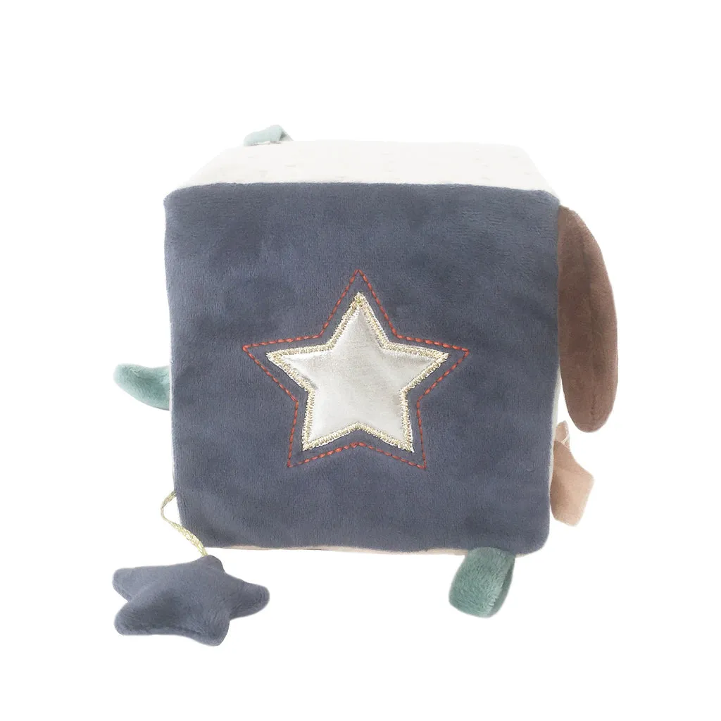 Mon Ami Astro Dog Activity Cube