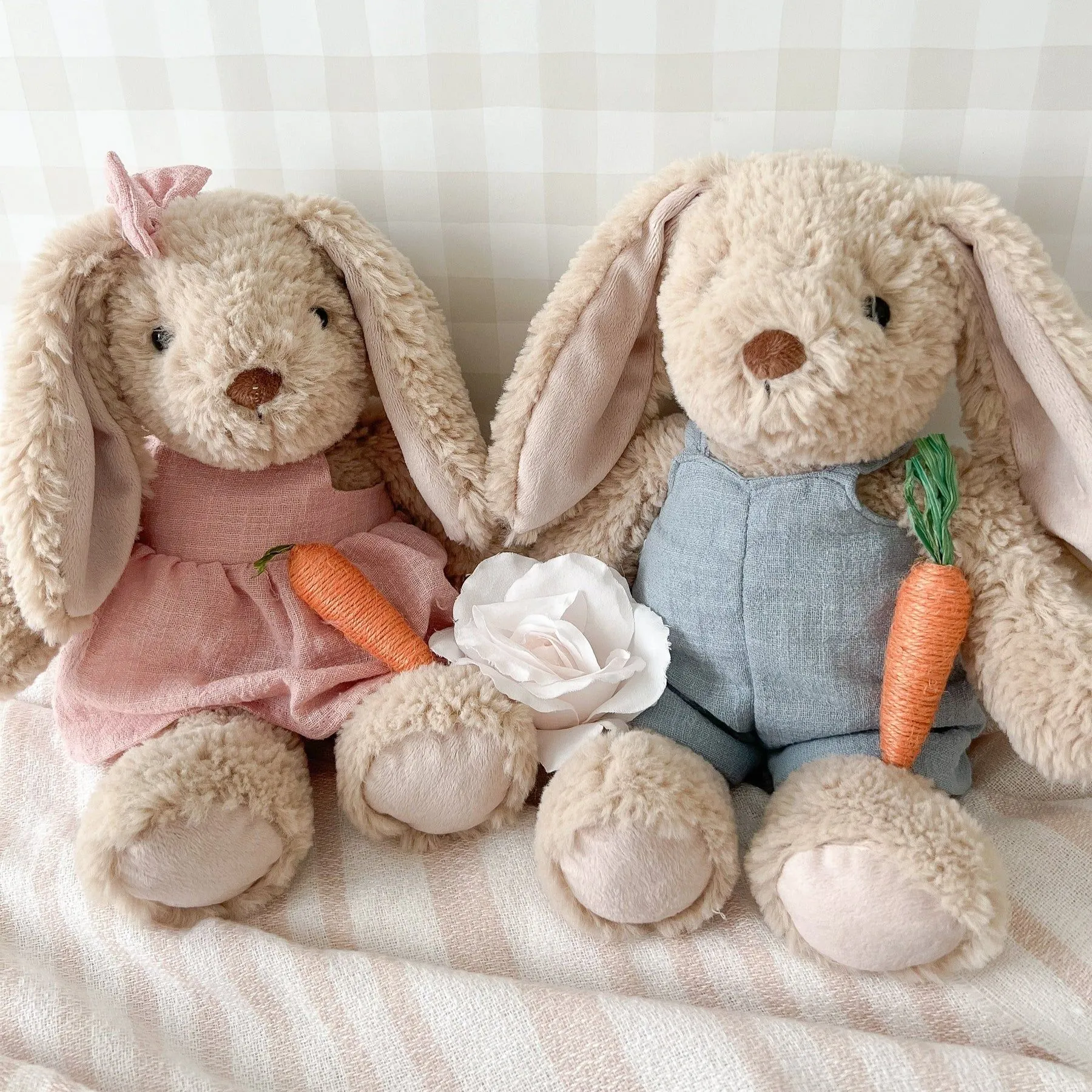 Mon Ami Bramble Bunny / Blue