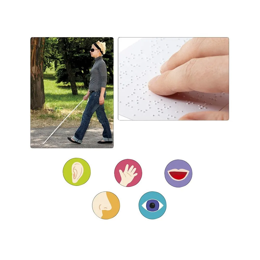 Nathan The 5 Senses Games Wise - Kids Toys