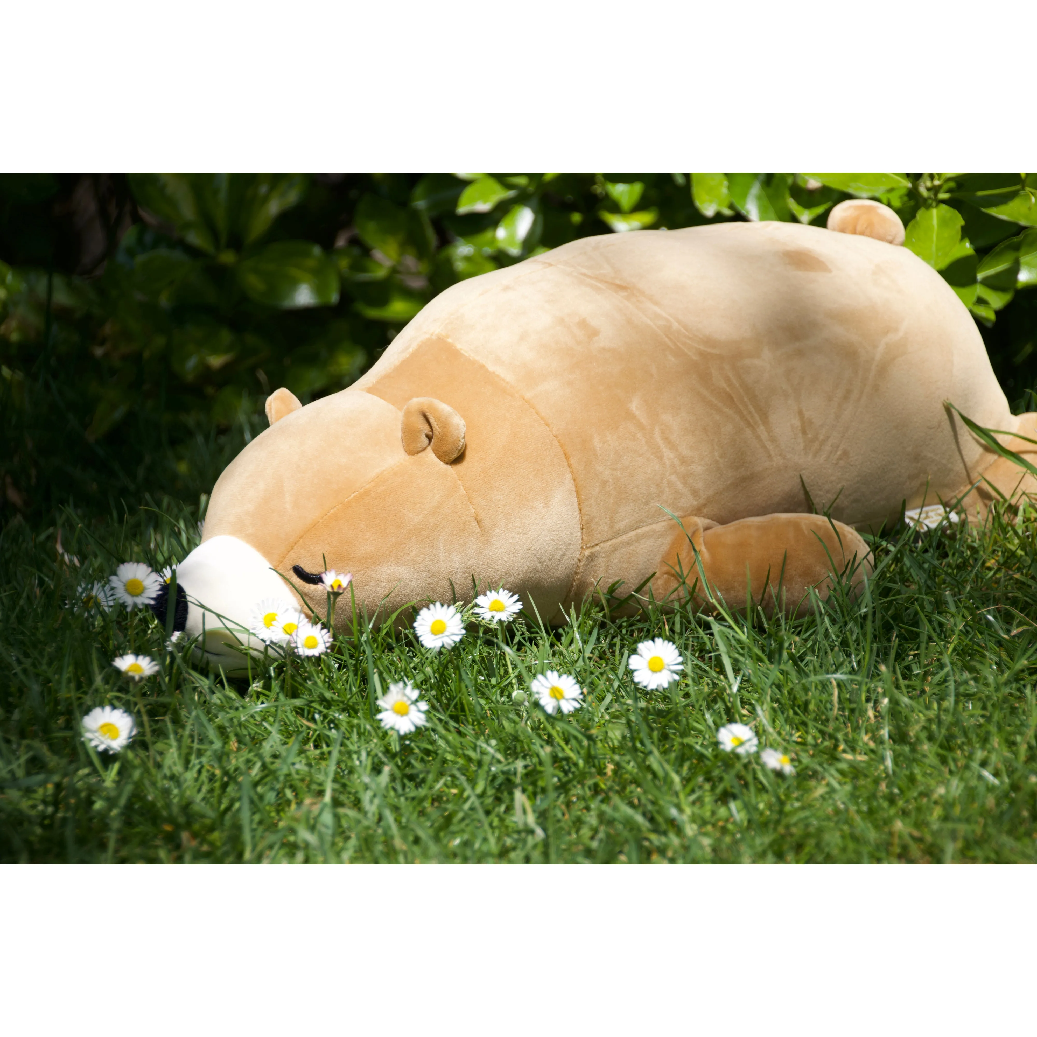 nemu nemu animals Cookie Brown Bear