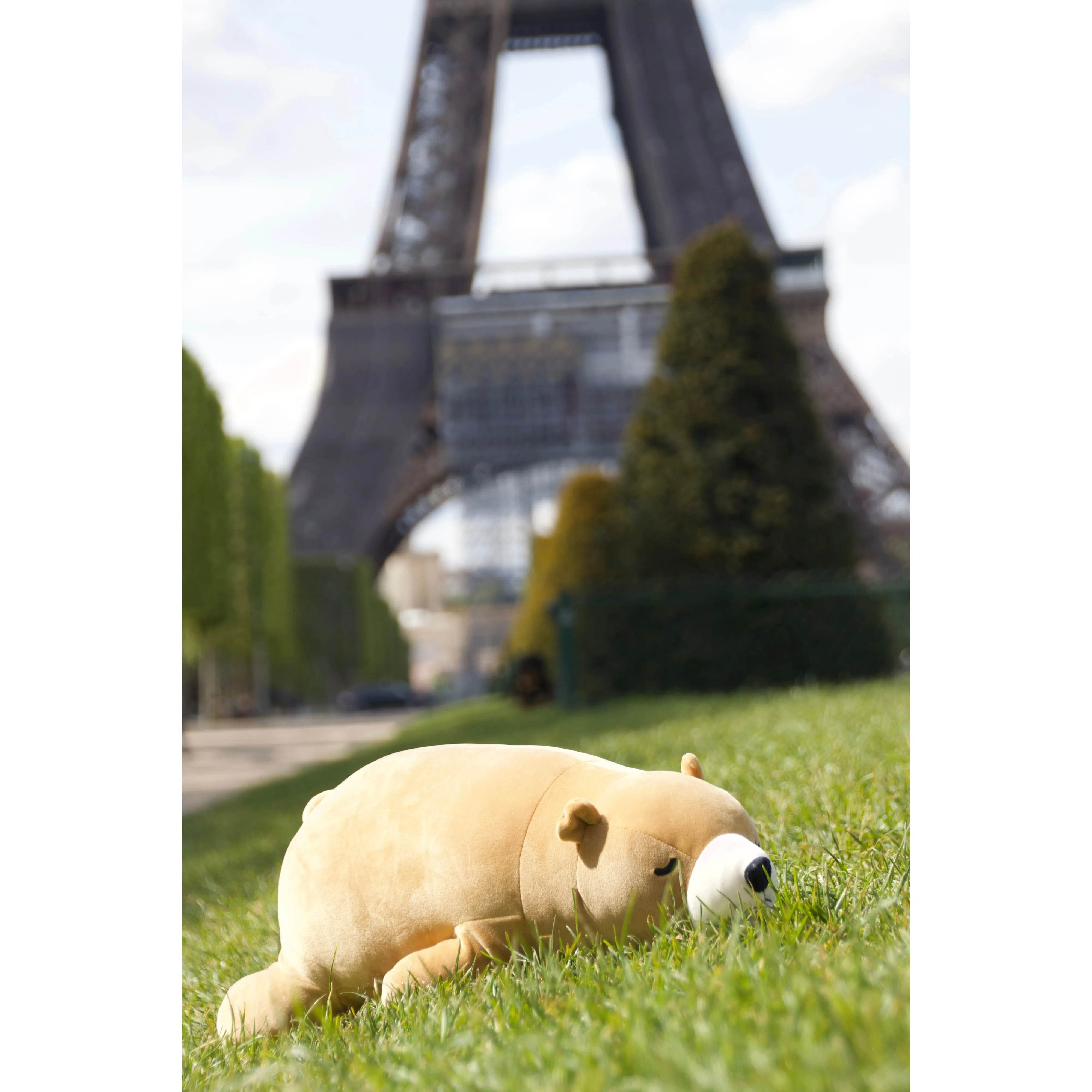 nemu nemu animals Cookie Brown Bear