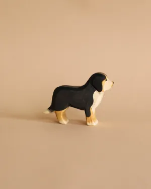 Ostheimer Bernese Mountain Dog Odin Parker
