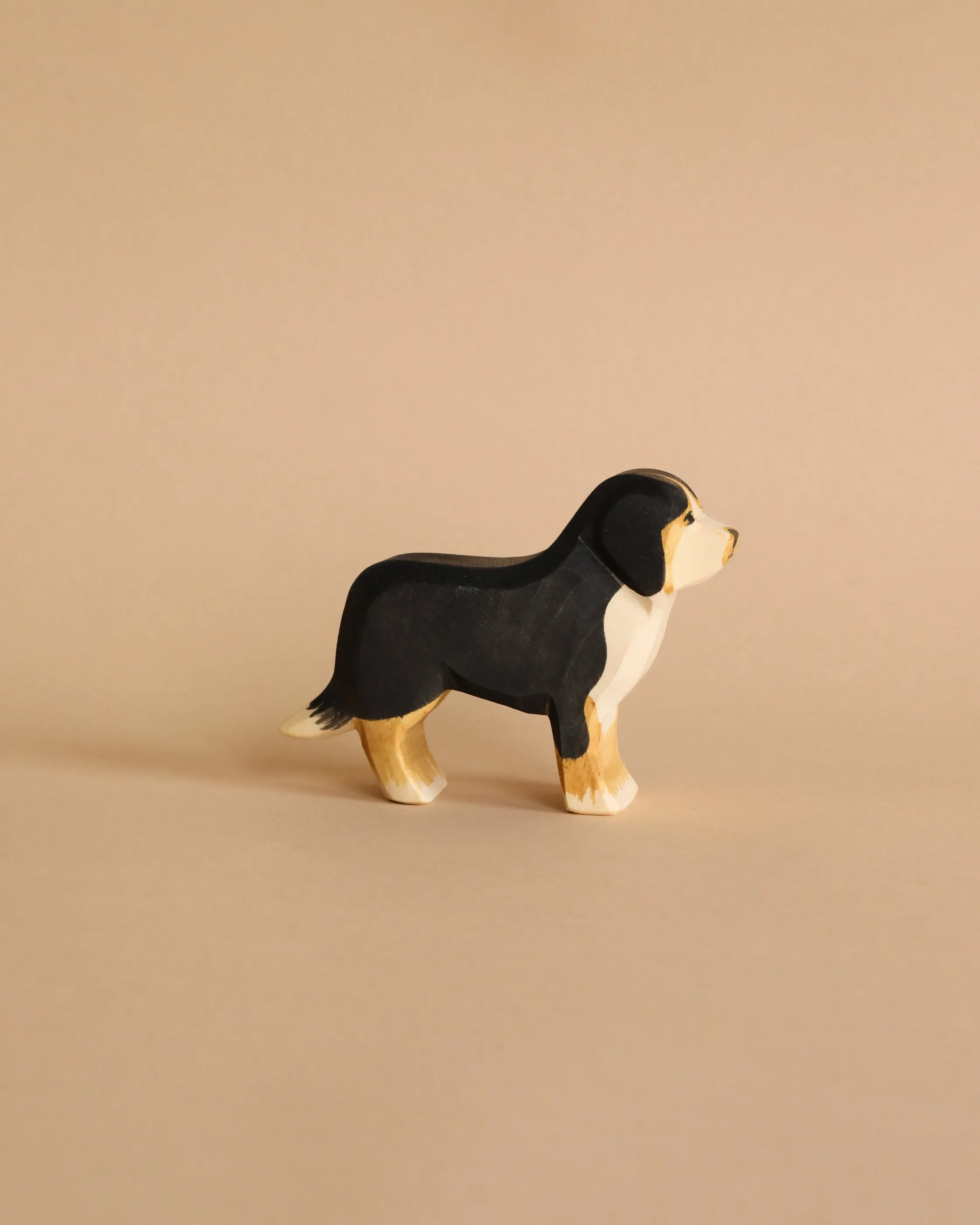 Ostheimer Bernese Mountain Dog Odin Parker