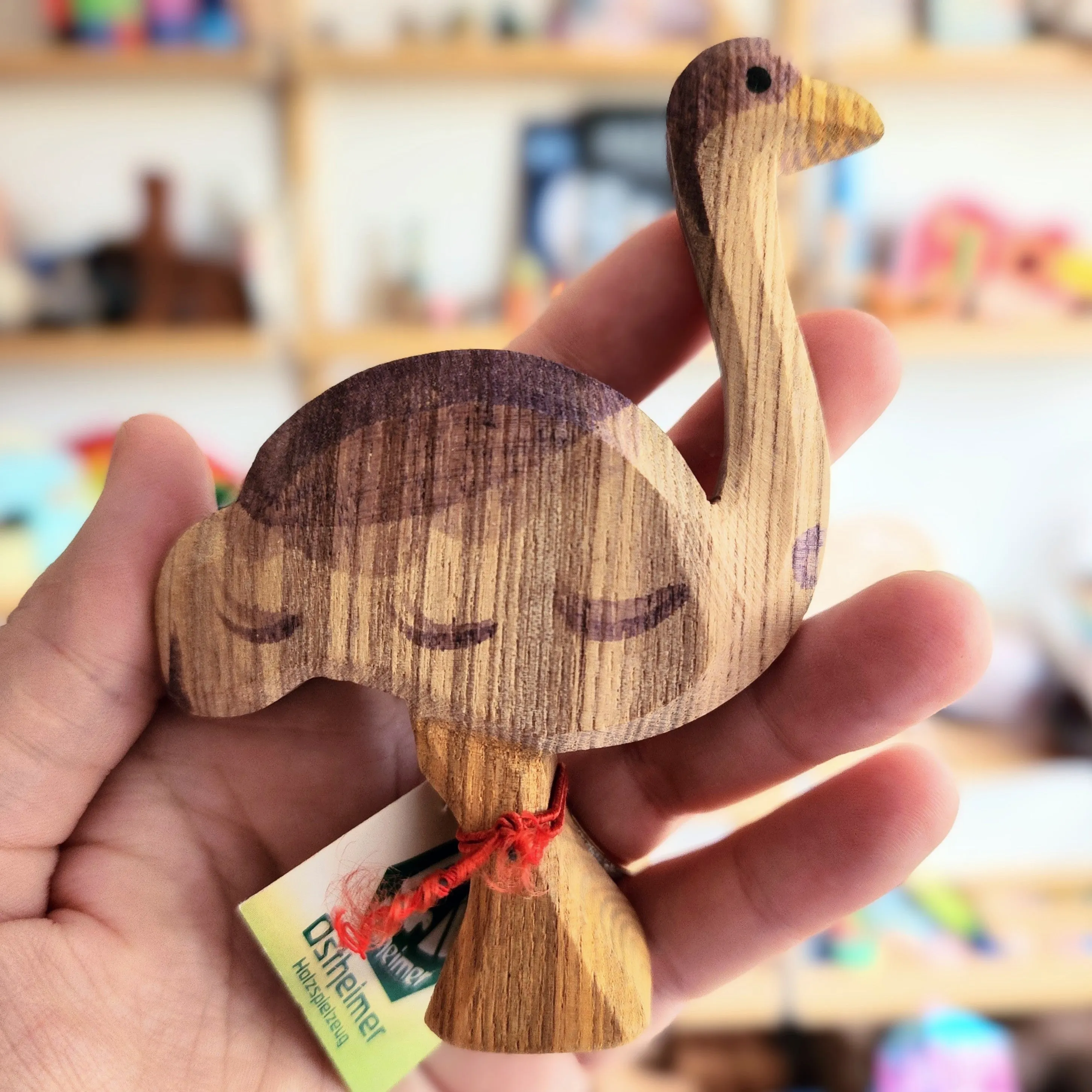 Ostheimer | Birds | Ostrich SECONDS