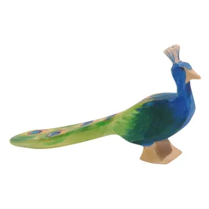 Ostheimer | Birds | Peacock