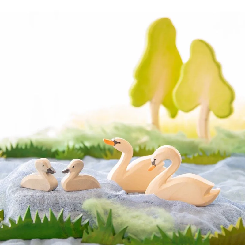 Ostheimer | Birds | Swan Little (Cygnet)