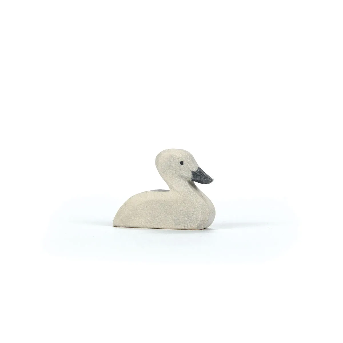 Ostheimer | Birds | Swan Little (Cygnet)