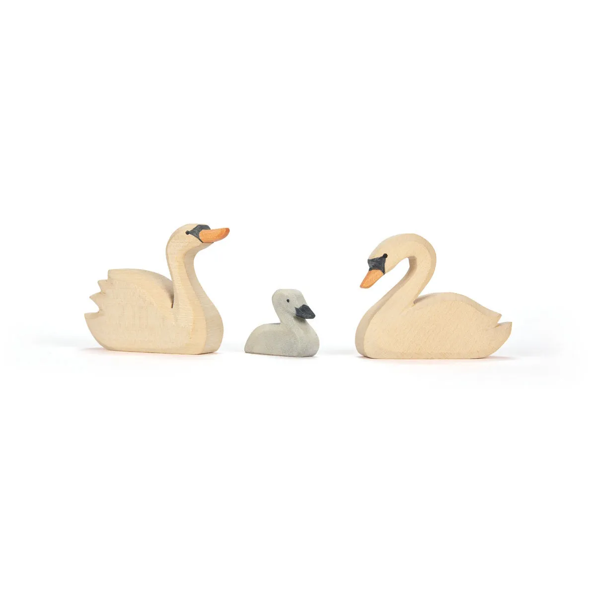 Ostheimer | Birds | Swan Little (Cygnet)