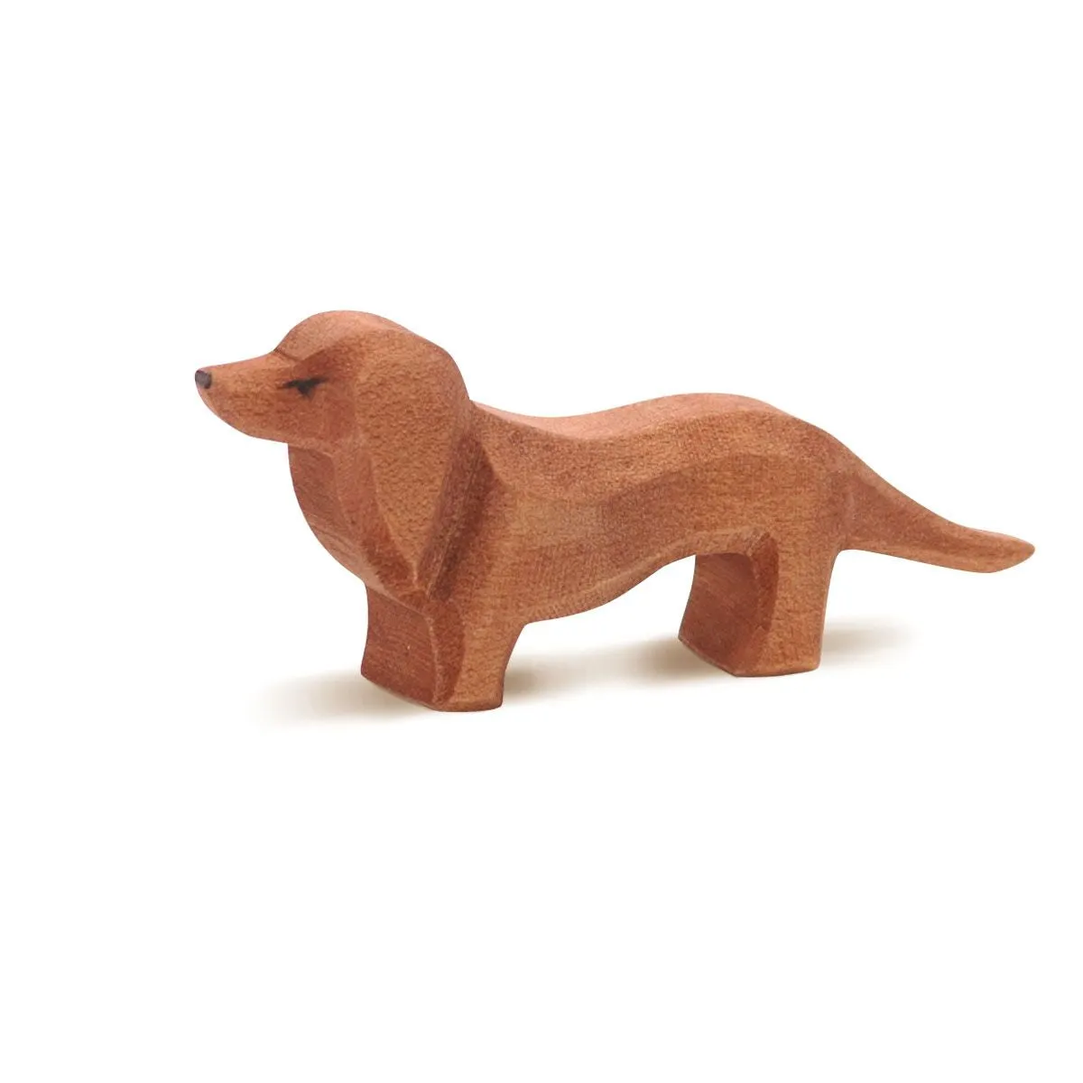 Ostheimer Dachshund Dog Odin Parker