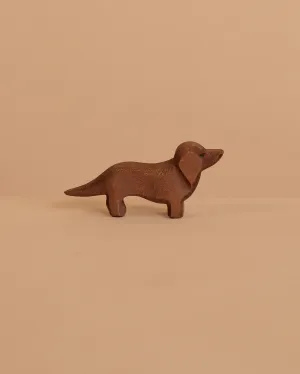 Ostheimer Dachshund Dog Odin Parker
