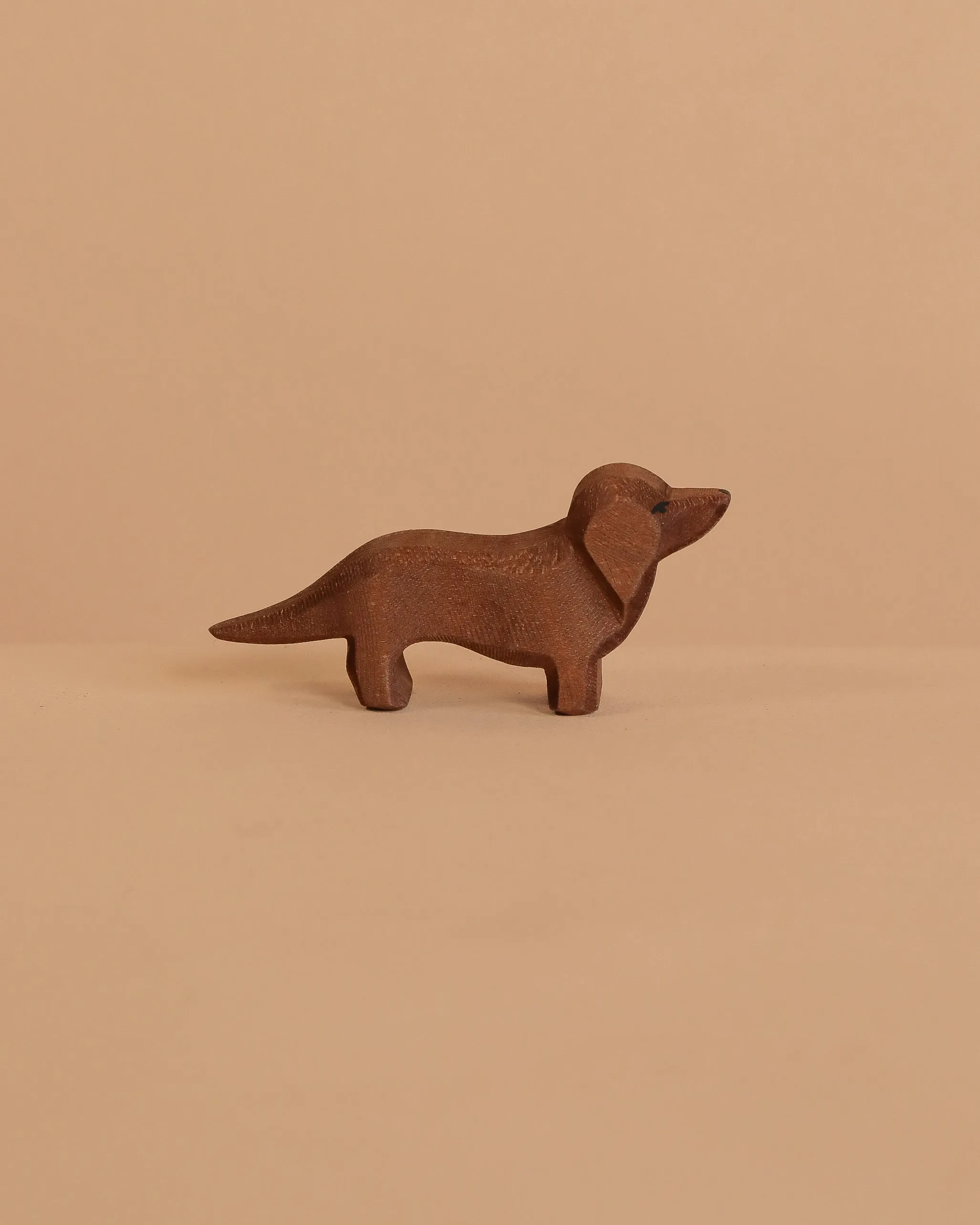 Ostheimer Dachshund Dog Odin Parker