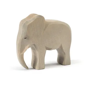Ostheimer | Elephant | Male 2017