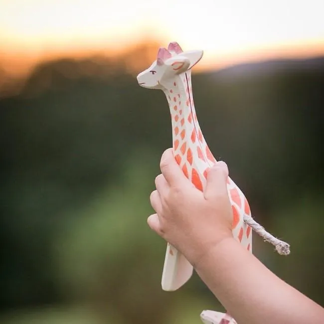 Ostheimer | Giraffe Running