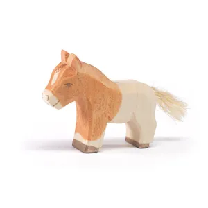 Ostheimer | Horses | Shetland Foal Colt