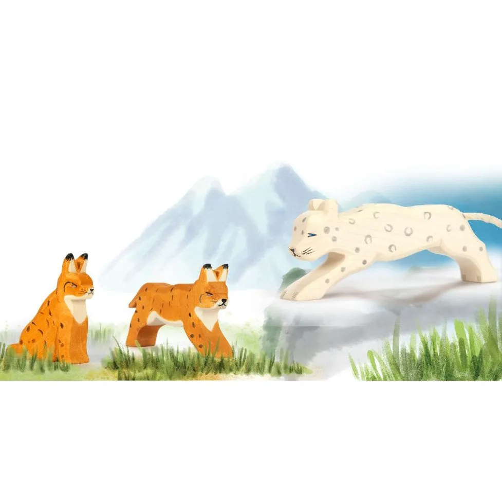 Ostheimer | Snow Leopard 2024