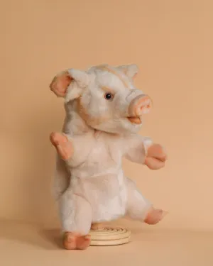 Pig Puppet Odin Parker