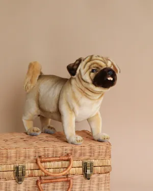 Pug Dog Stuffed Animal Odin Parker