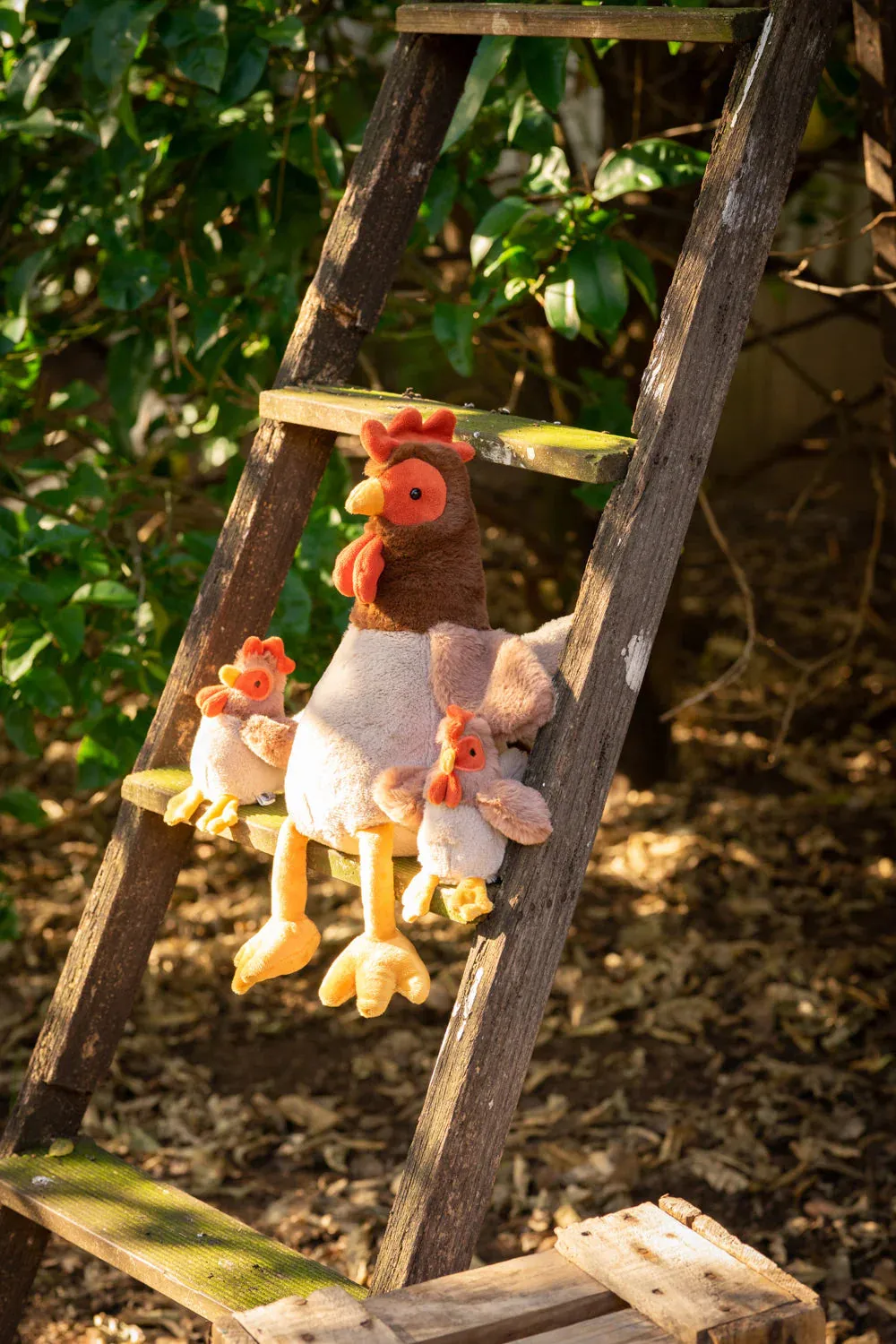 Randy the Rooster Stuffed Animal Odin Parker