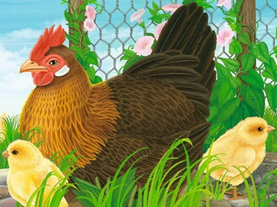 Ravensburger 074129 12 BP Animals Wise - Kids Toys