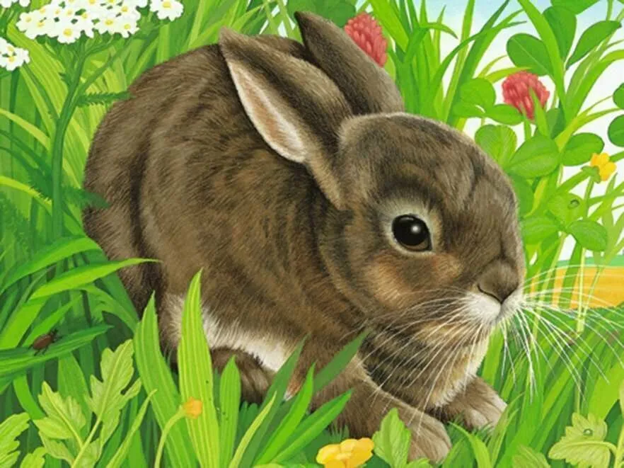 Ravensburger 074129 12 BP Animals Wise - Kids Toys