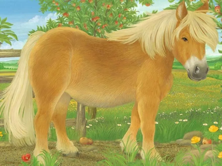 Ravensburger 074129 12 BP Animals Wise - Kids Toys