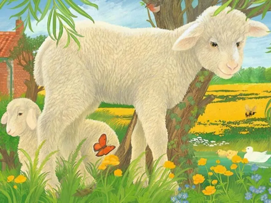 Ravensburger 074129 12 BP Animals Wise - Kids Toys
