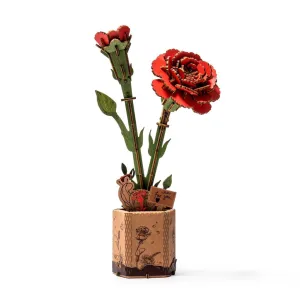Red Carnation