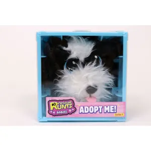 Rescue Runts Babies Collie