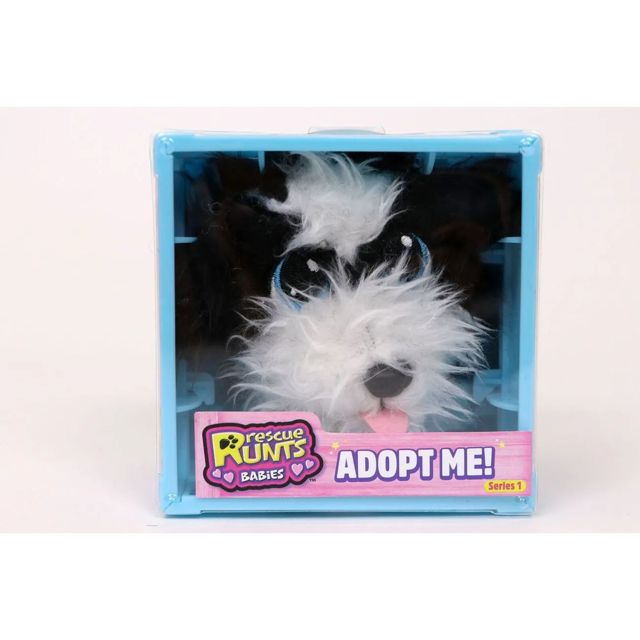 Rescue Runts Babies Collie