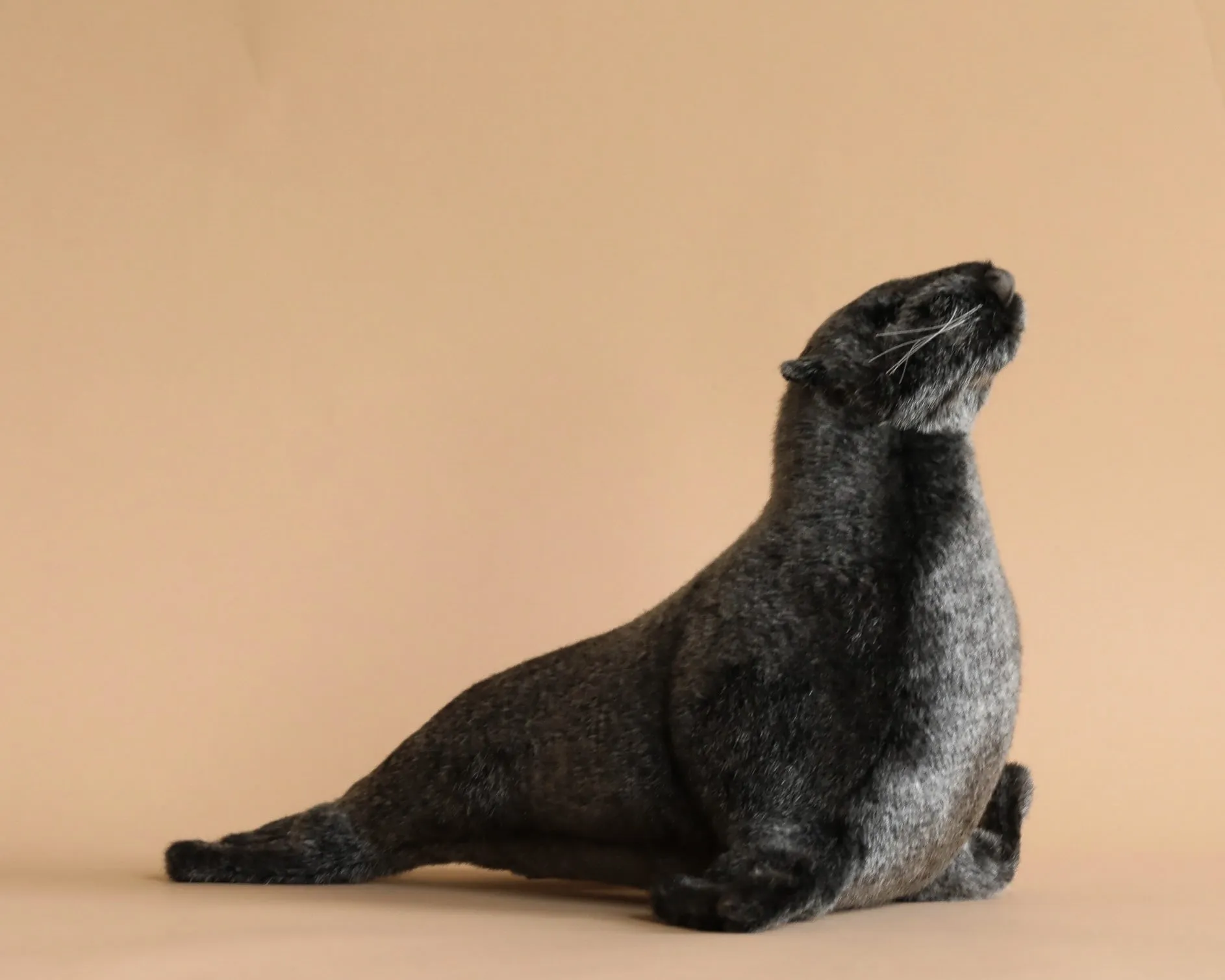 Sea Lion Cub Stuffed Animal Odin Parker