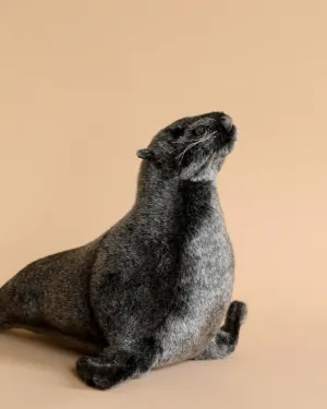 Sea Lion Cub Stuffed Animal Odin Parker