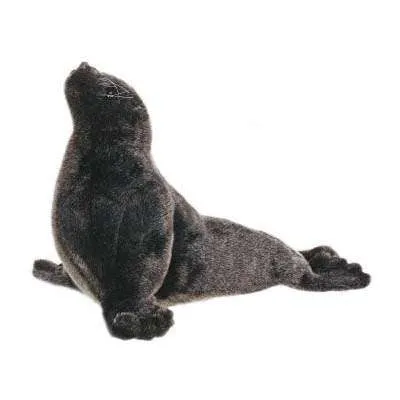 Sea Lion Cub Stuffed Animal Odin Parker