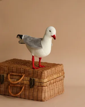Seagull Bird Stuffed Animal Odin Parker