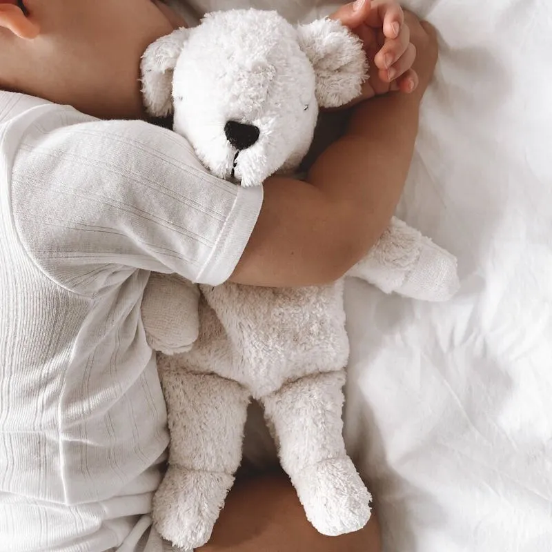 Senger | Cuddly Animal Polar Bear Small w/ removable heat/cool pack