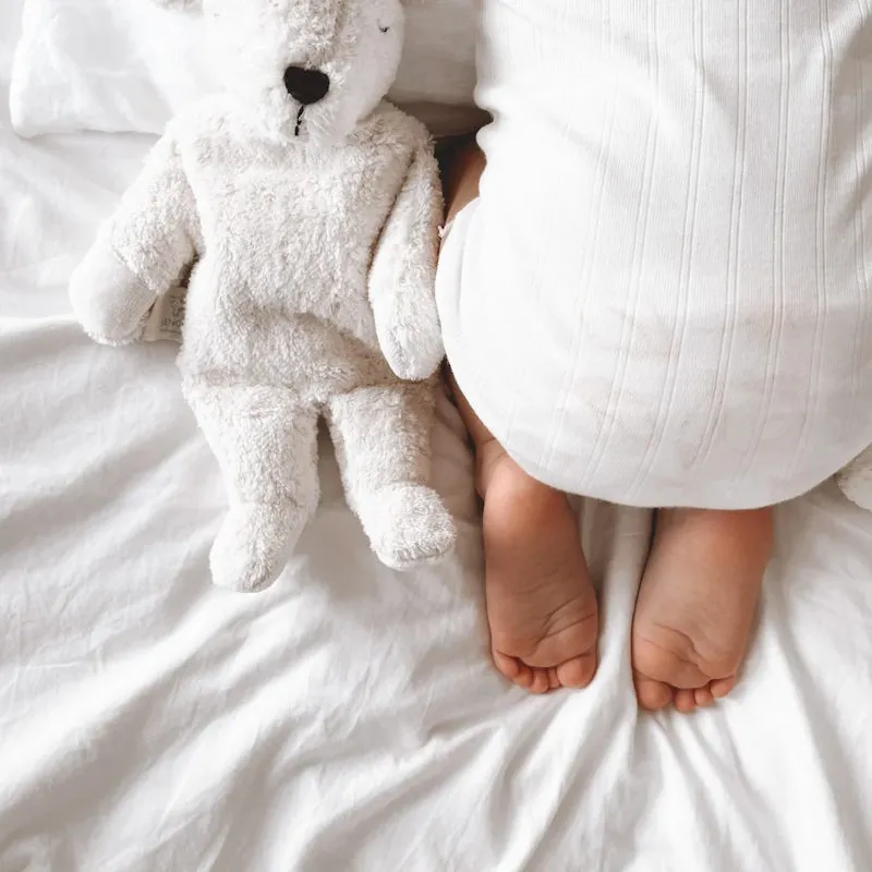 Senger | Cuddly Animal Polar Bear Small w/ removable heat/cool pack