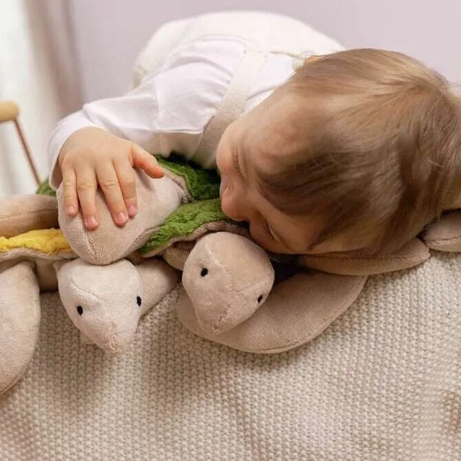 Senger | Cuddly Animal Turtle Small Fir Green w/ removable heat/cool pack