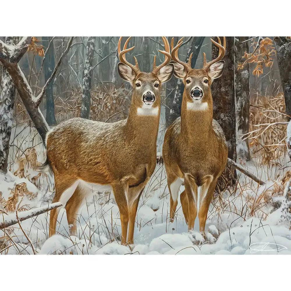 Set of 6: Jigsaw Puzzles By Artist Shawna Stewart Bits and Pieces