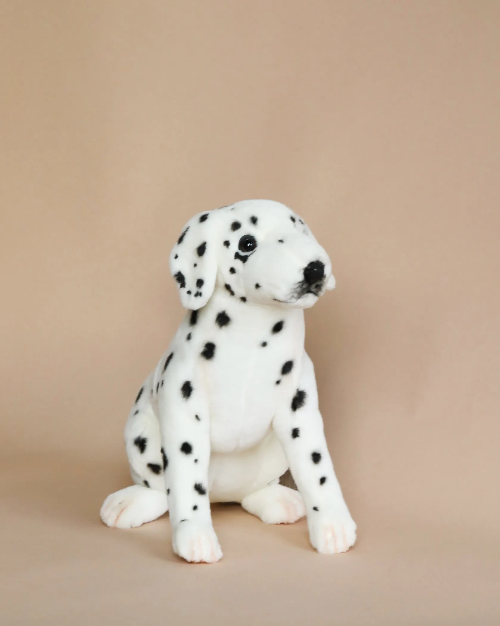 Sitting Dalmatian Dog Stuffed Animal Odin Parker