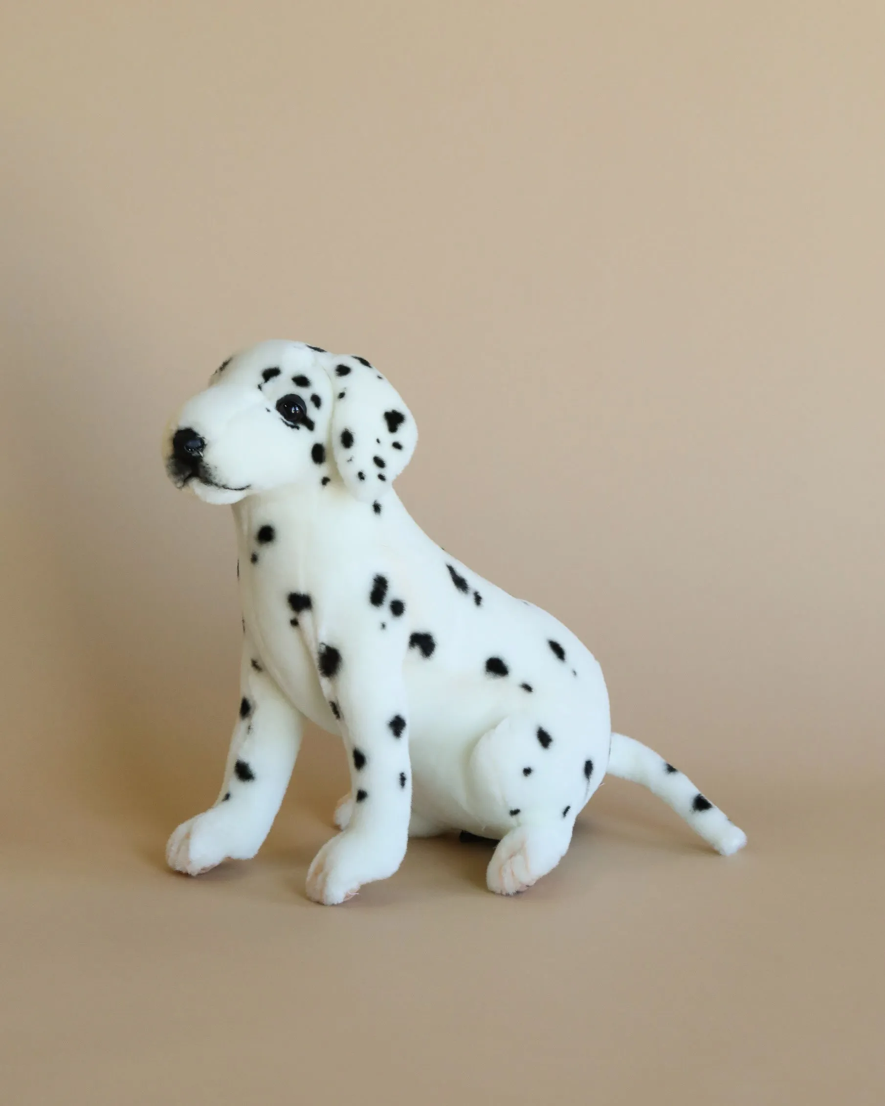 Sitting Dalmatian Dog Stuffed Animal Odin Parker