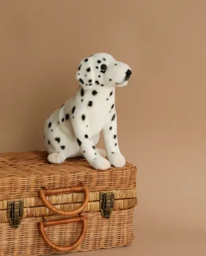Sitting Dalmatian Dog Stuffed Animal Odin Parker