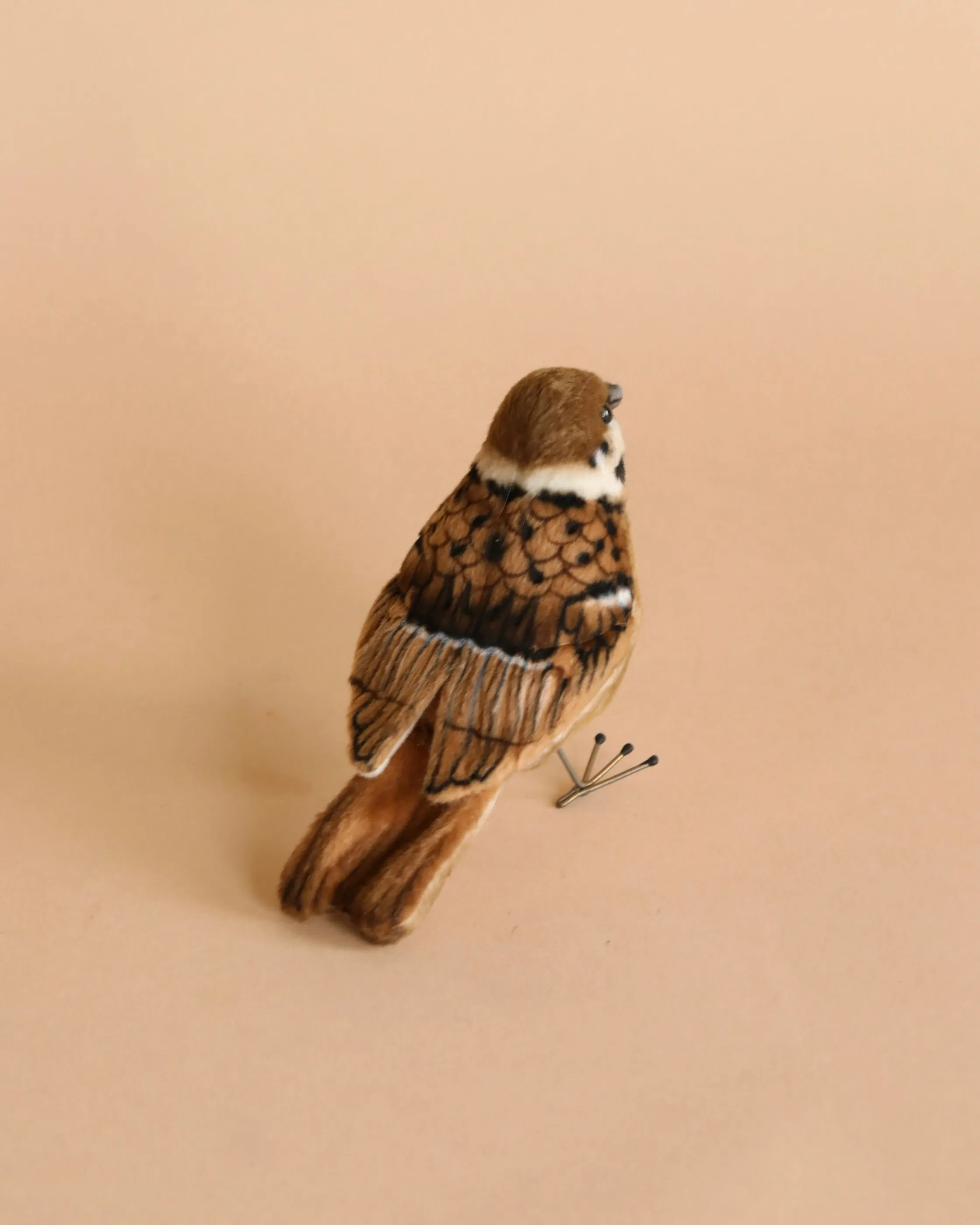 Sparrow Bird Stuffed Animal Odin Parker