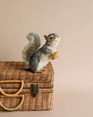 Squirrel With A Nut Stuffed Animal Odin Parker