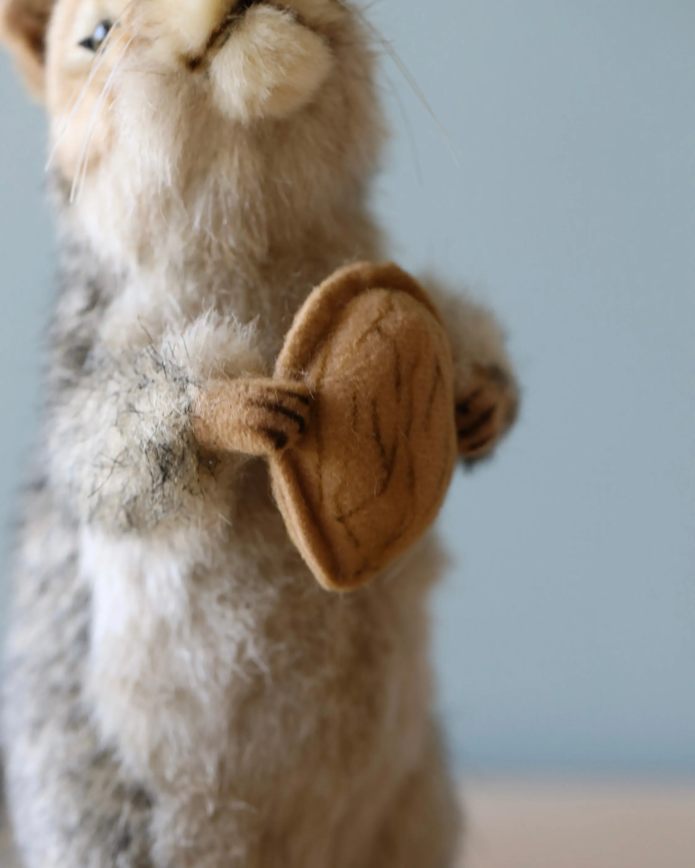Squirrel With A Nut Stuffed Animal Odin Parker