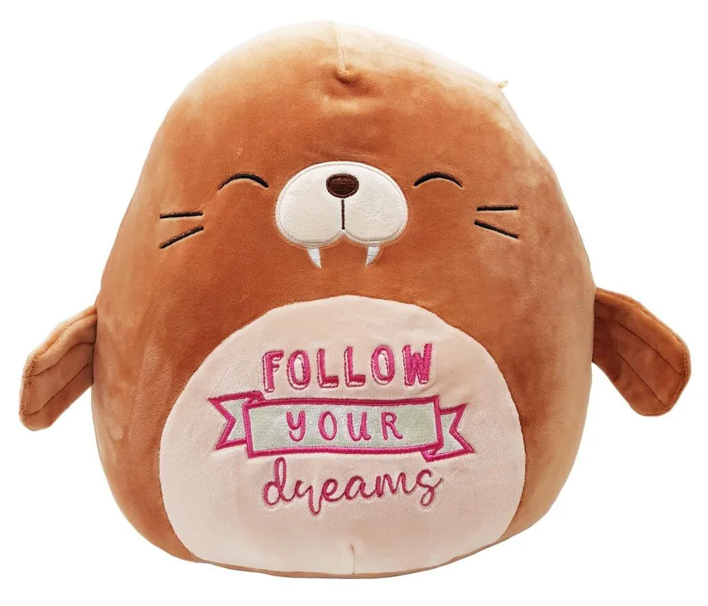 Squishmallows 12Inch(30cm) Inspirational Messages Plush Bindy
