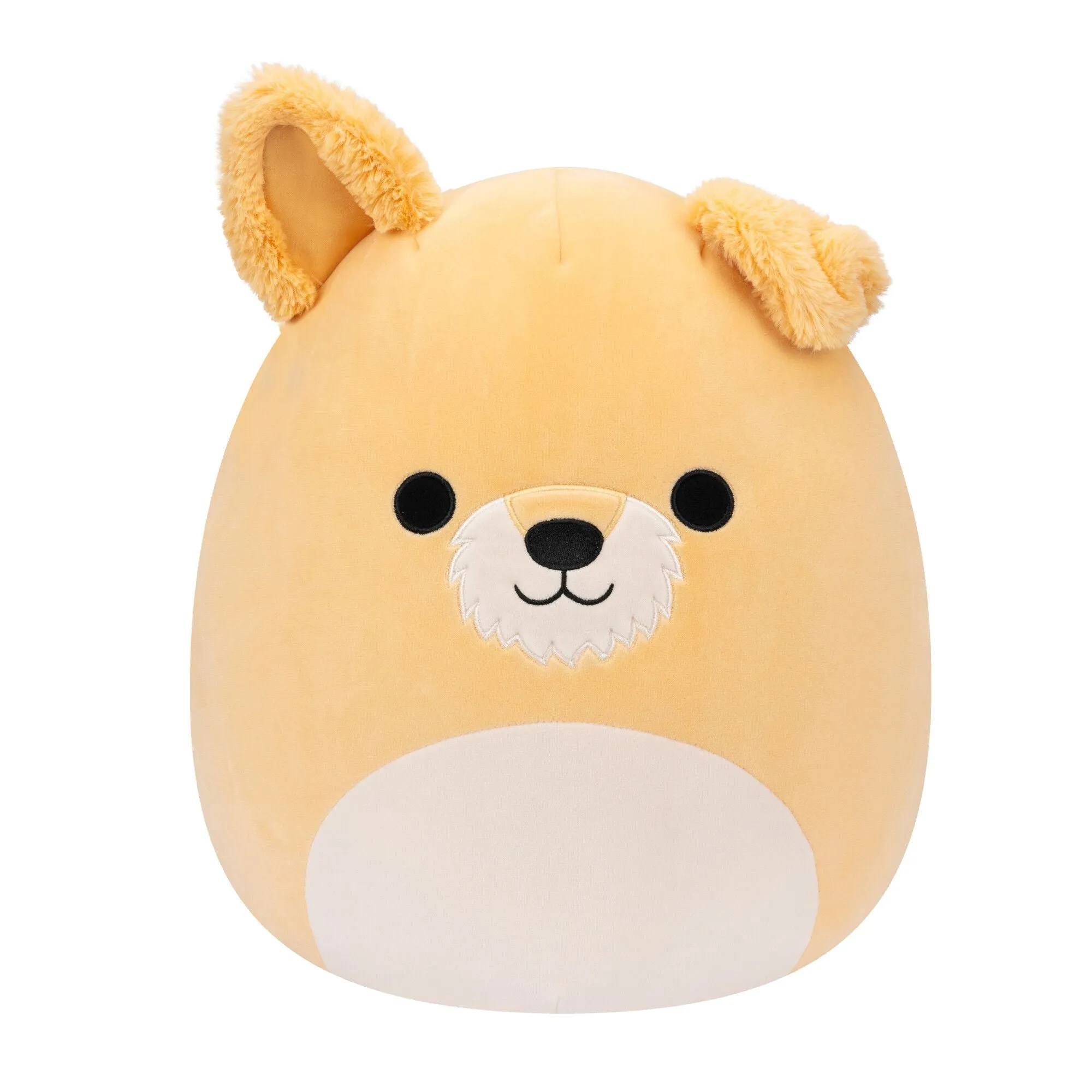 Squishmallows 14 Inch Plush S16 Cooper White Dog