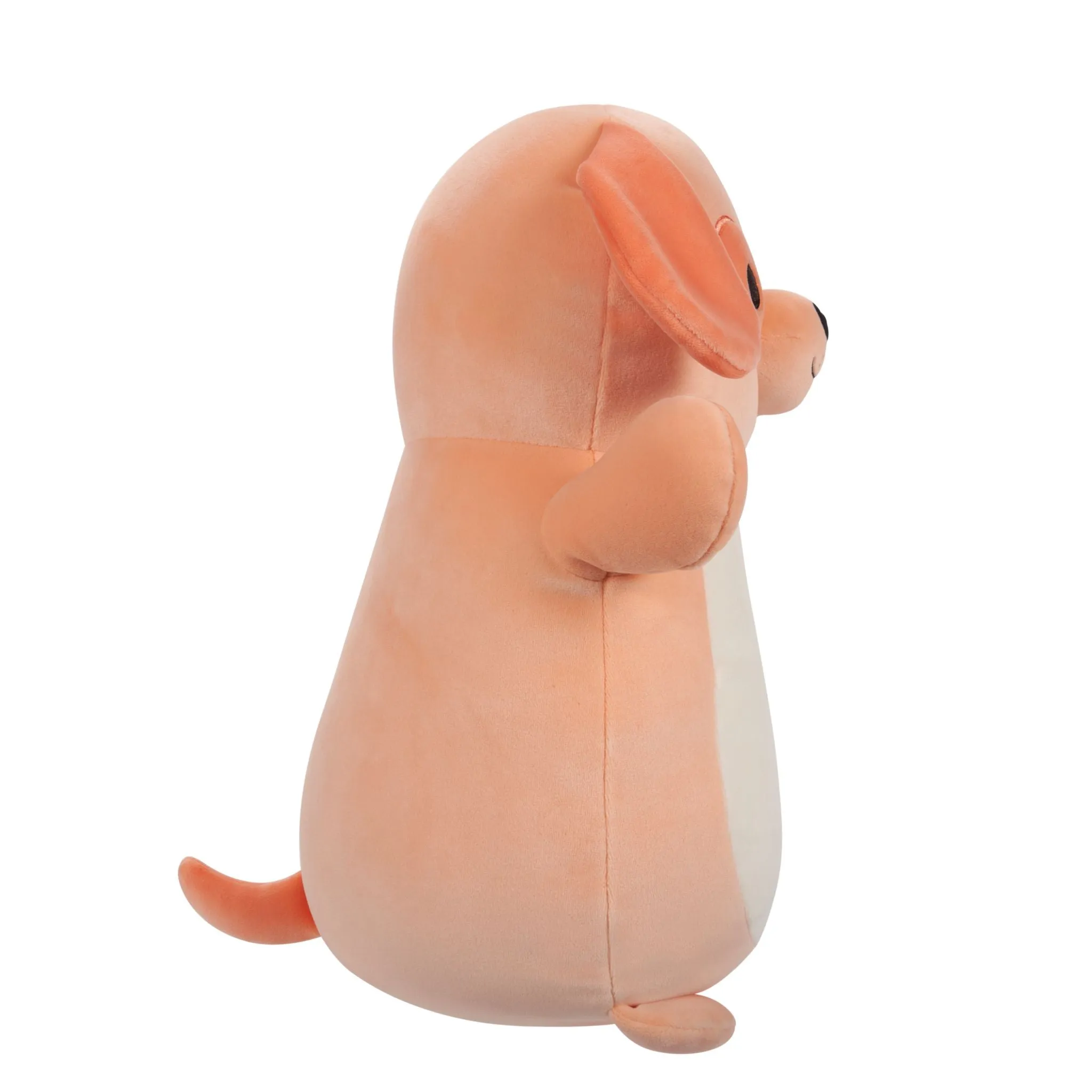 Squishmallows Hugmees 10 Inch Plush Drella Peach Dog
