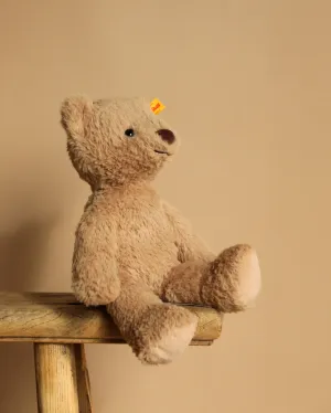 Steiff, Thommy Teddy Bear, 12 Inches Odin Parker