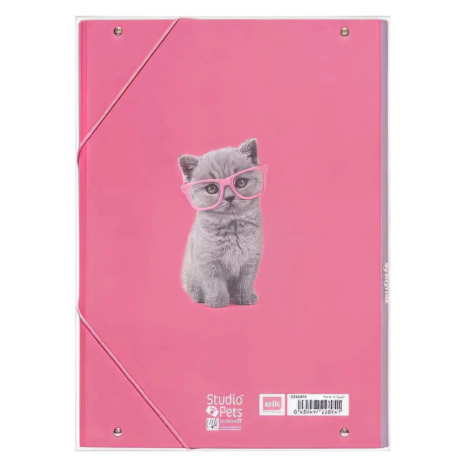 Studio Pets Cats A4 Elastic Folder