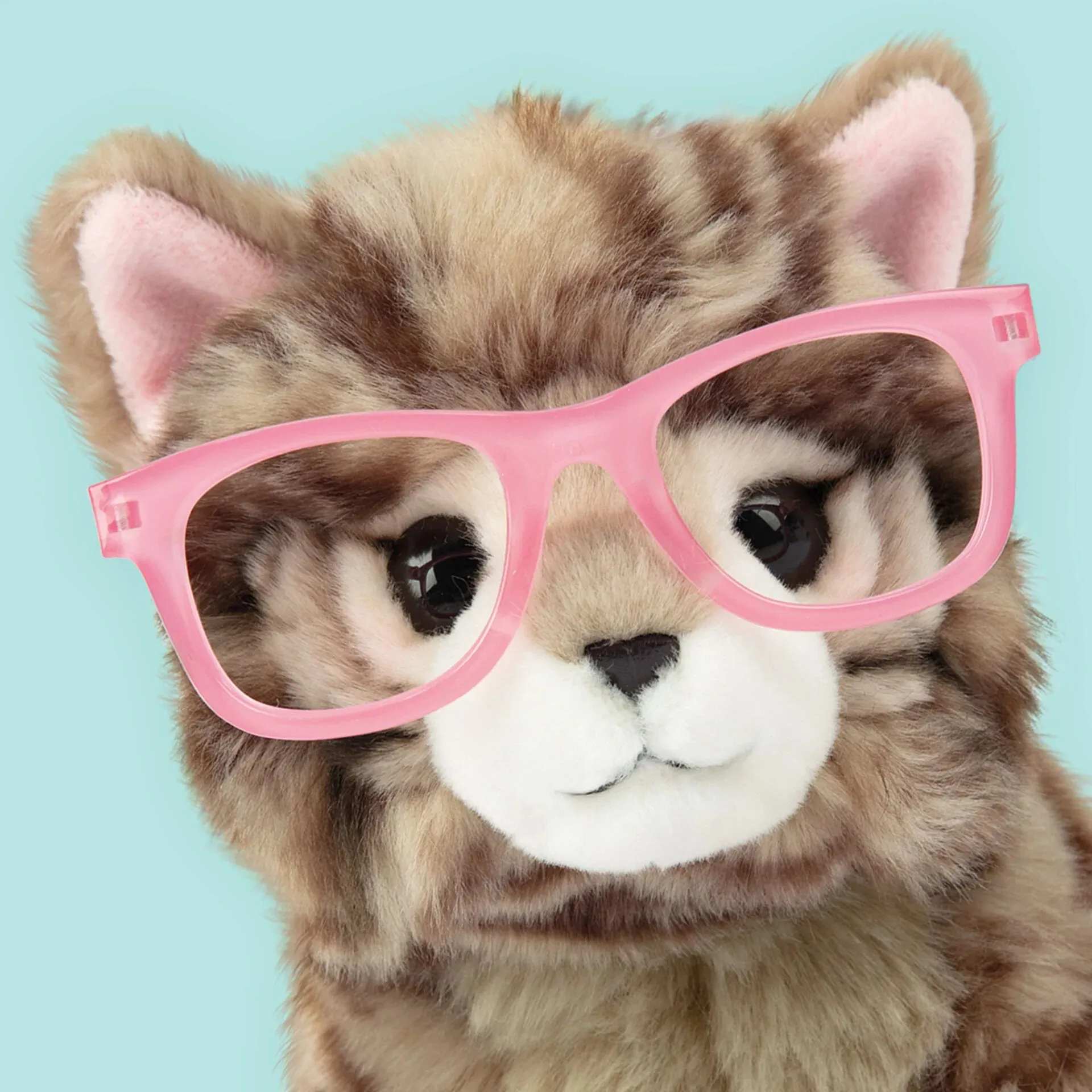 Studio Pets Paige British Longhair Kitten 23cm Plush
