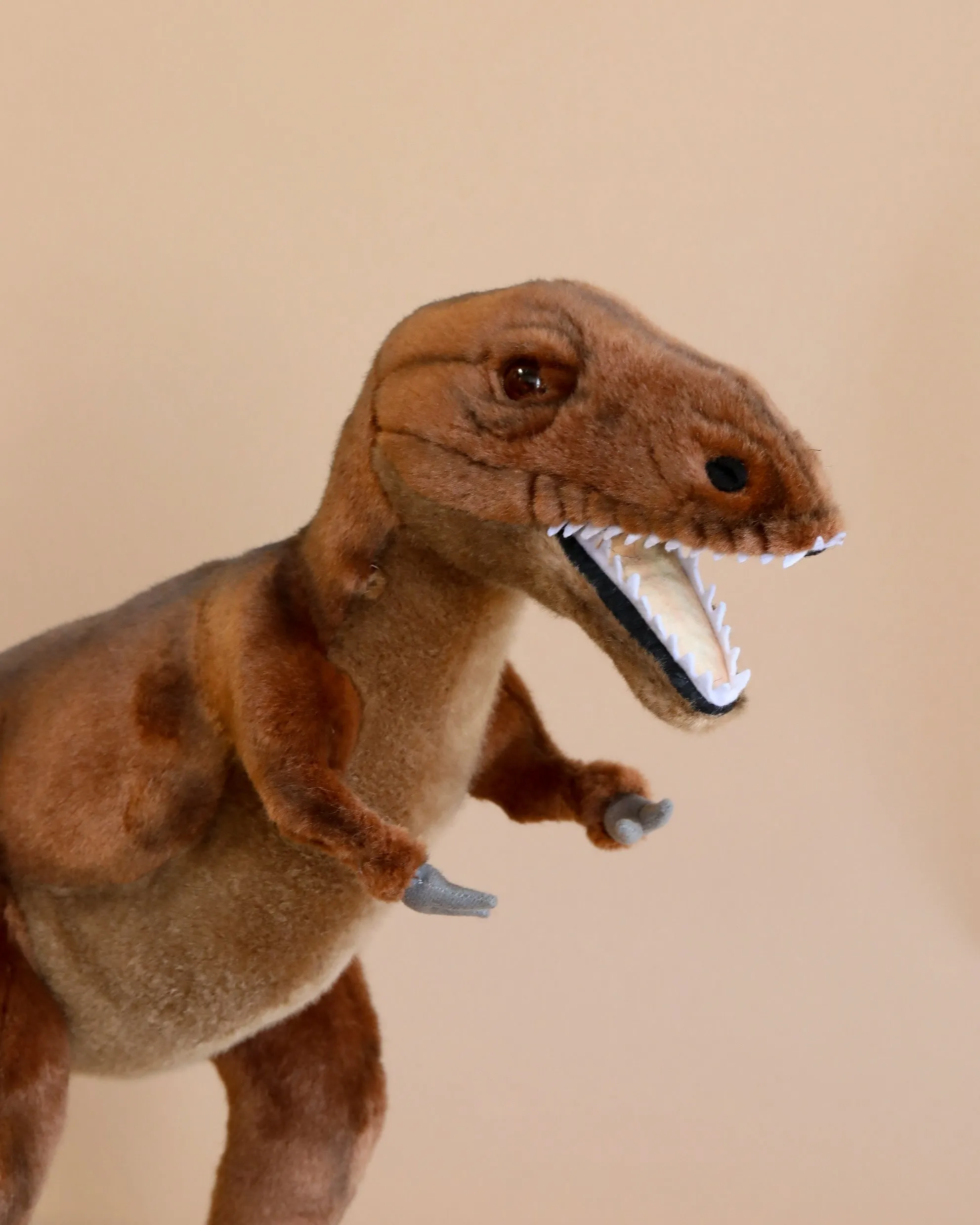 T-Rex Stuffed Animal Odin Parker